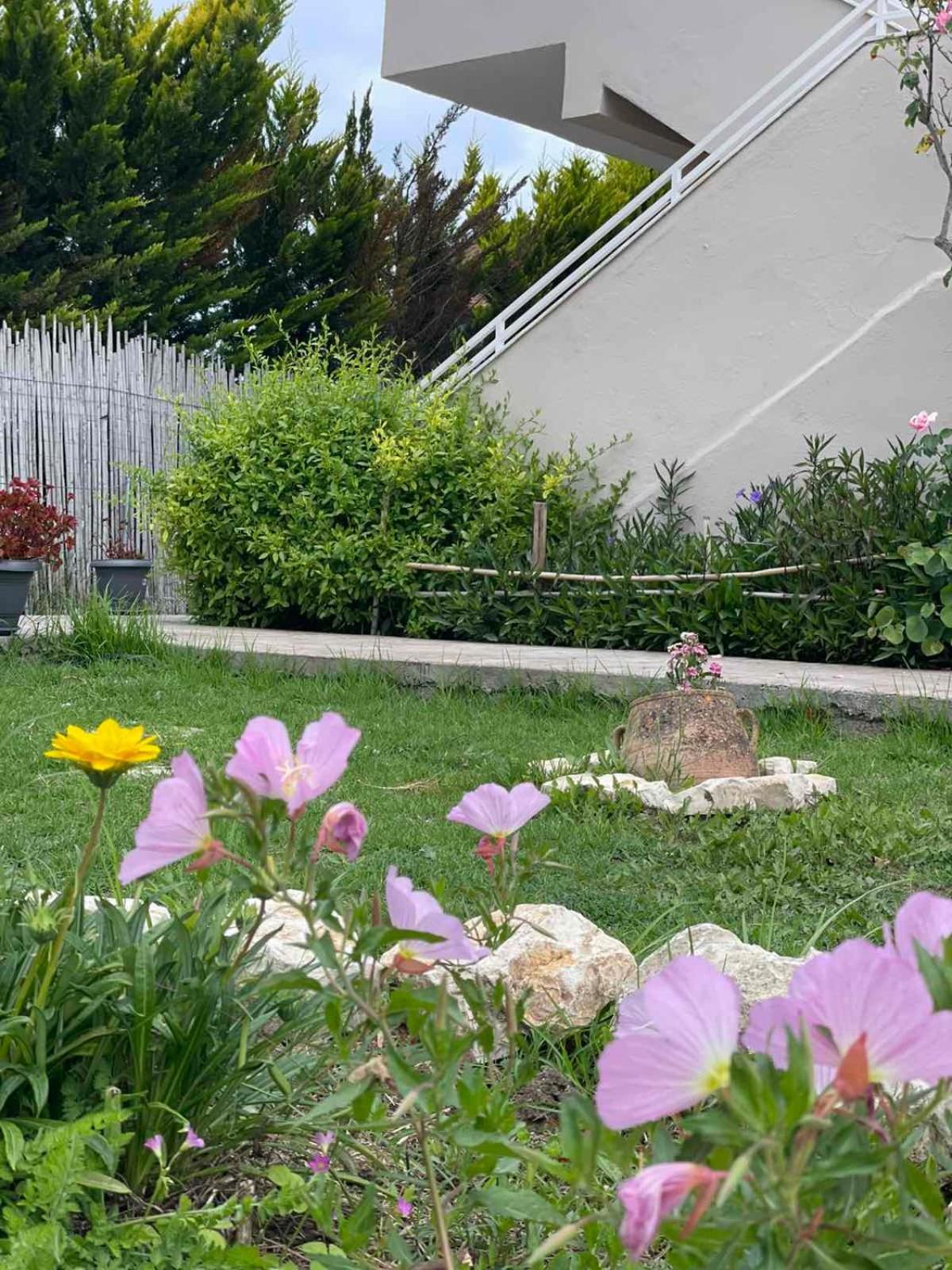 Aspasia Apartments Sidárion Dış mekan fotoğraf